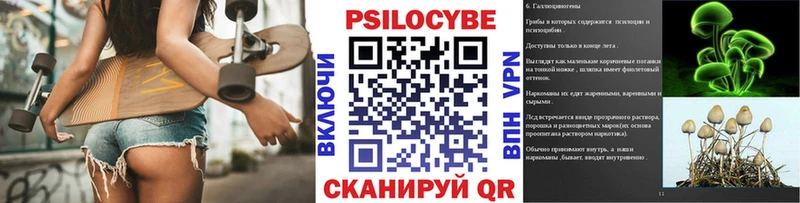 магазин  наркотиков  Пыталово  Галлюциногенные грибы MAGIC MUSHROOMS 